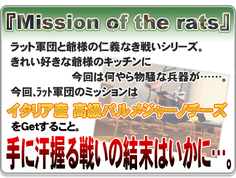 wMission of the ratsx